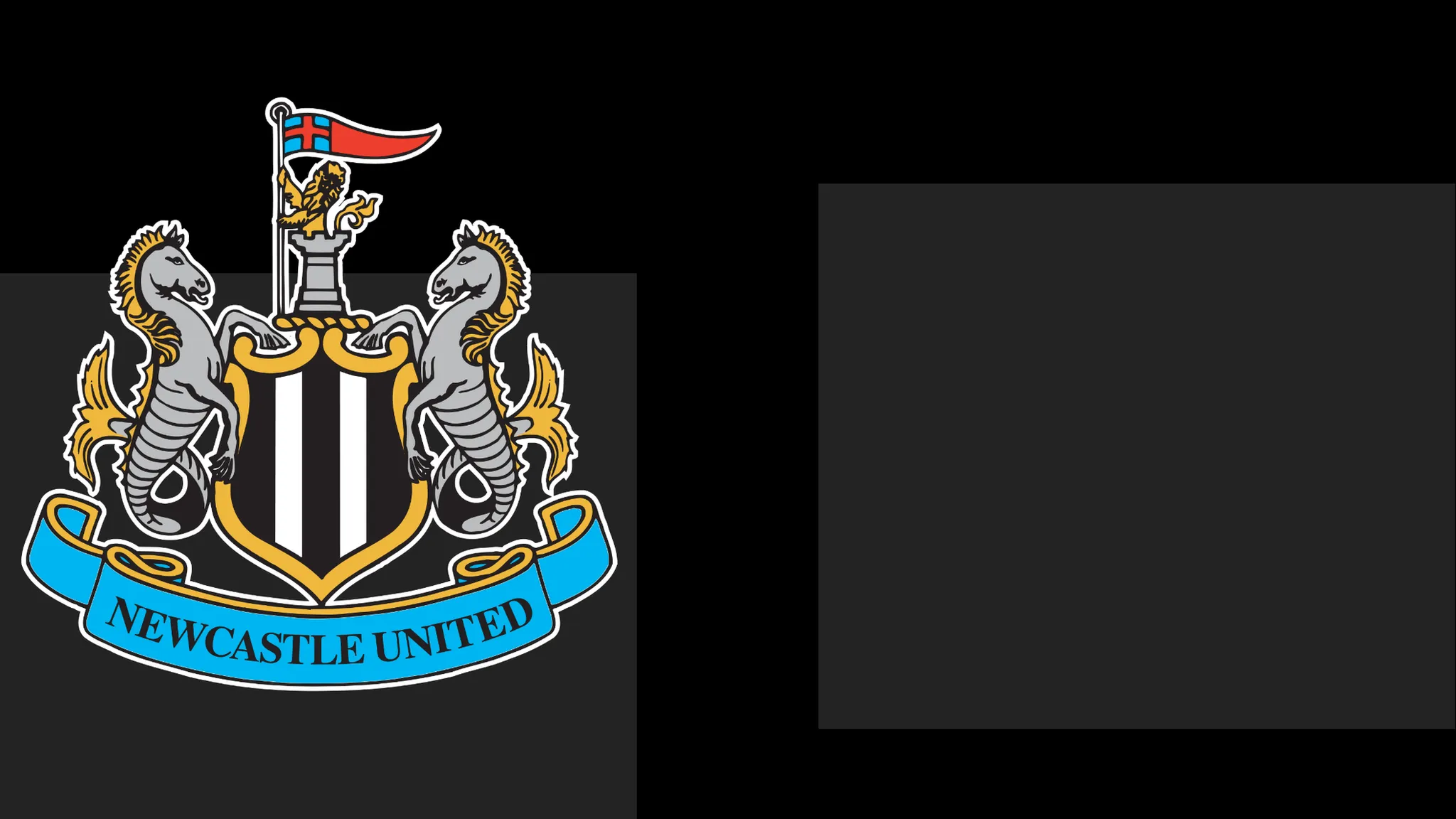 Newcastle Issue Formal Apology to Fans Following Ticket Dispute
